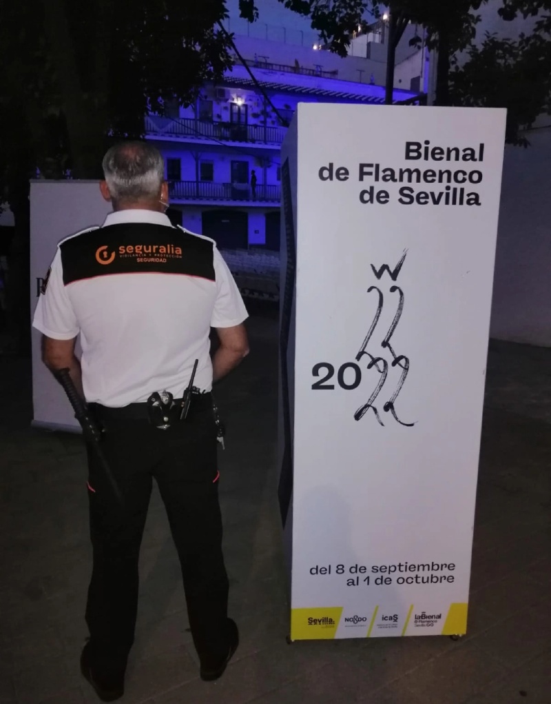 servicios de seguridad en eventos